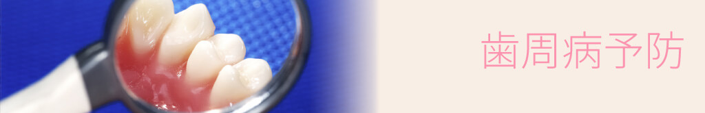 歯周病予防