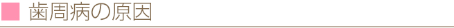 歯周病の原因