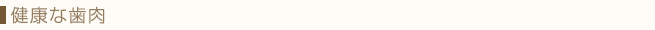 健康な歯肉