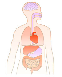 他疾患が原因のタイプ